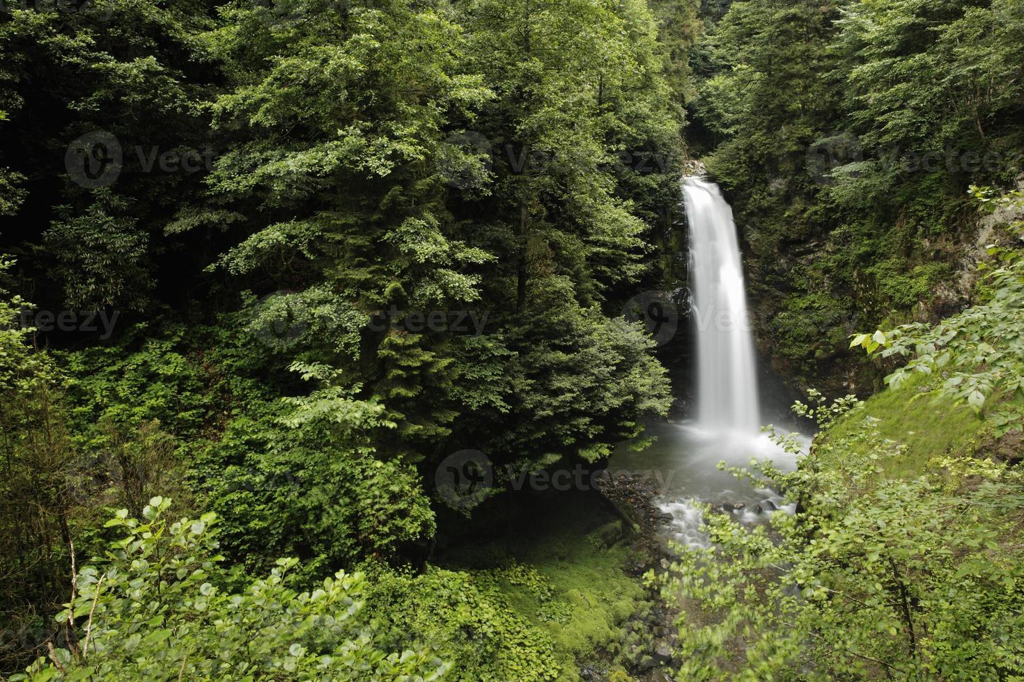 rize camlihemsin palovit watervallen, turkije, uitzicht foto