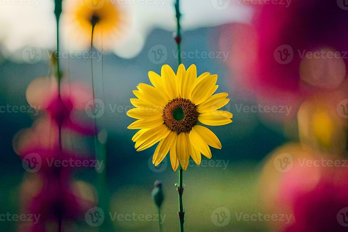 een single geel zonnebloem in een veld. ai-gegenereerd foto