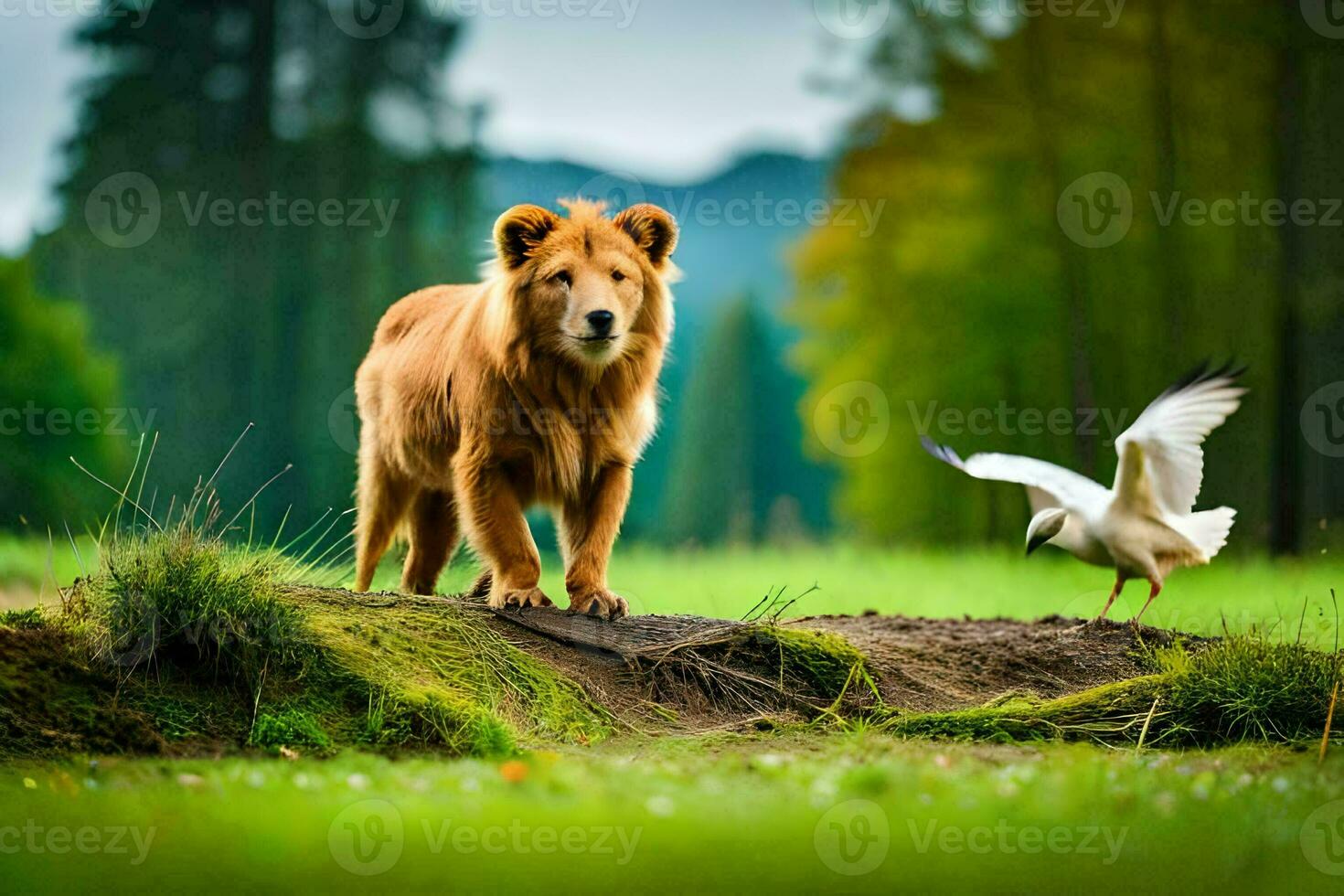 een leeuw en een zeemeeuw staand Aan een met gras begroeid veld. ai-gegenereerd foto