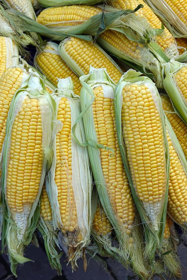 biologische rauwe plantaardige maïs foto