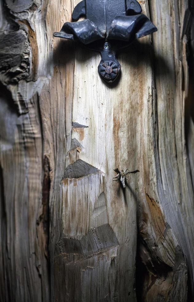 natuurlijke boom houten schors stam foto