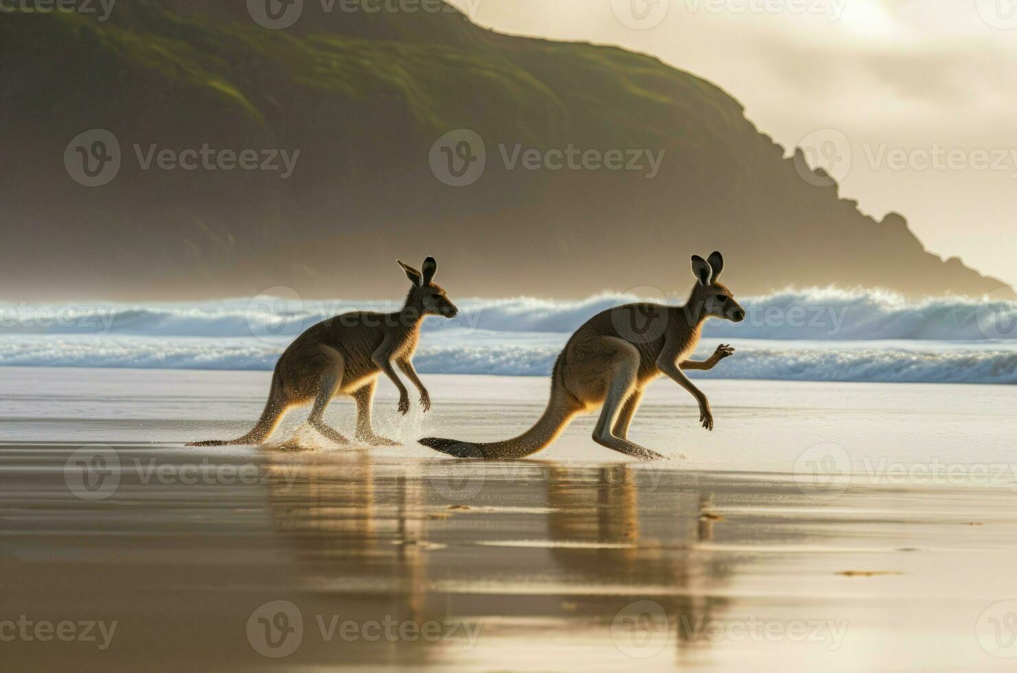 Australisch kangoeroes strand. genereren ai foto