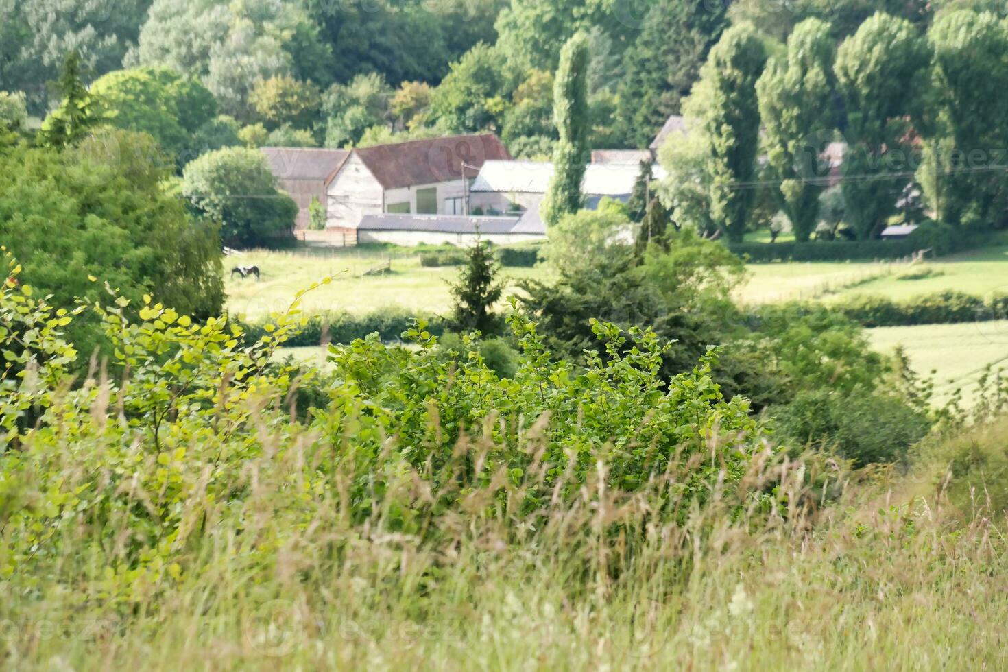 meest mooi Brits platteland landschap Bij slijpschoen klepels vallei van Engeland luton, uk. beeld was gevangen genomen Aan juni 24e, 2023 foto