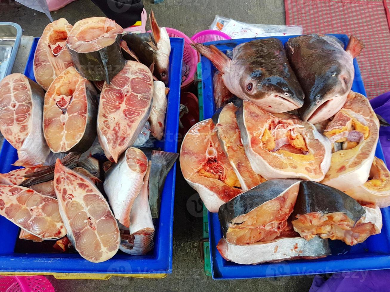 gehakte iriserende haai verkocht in thai walking street market foto