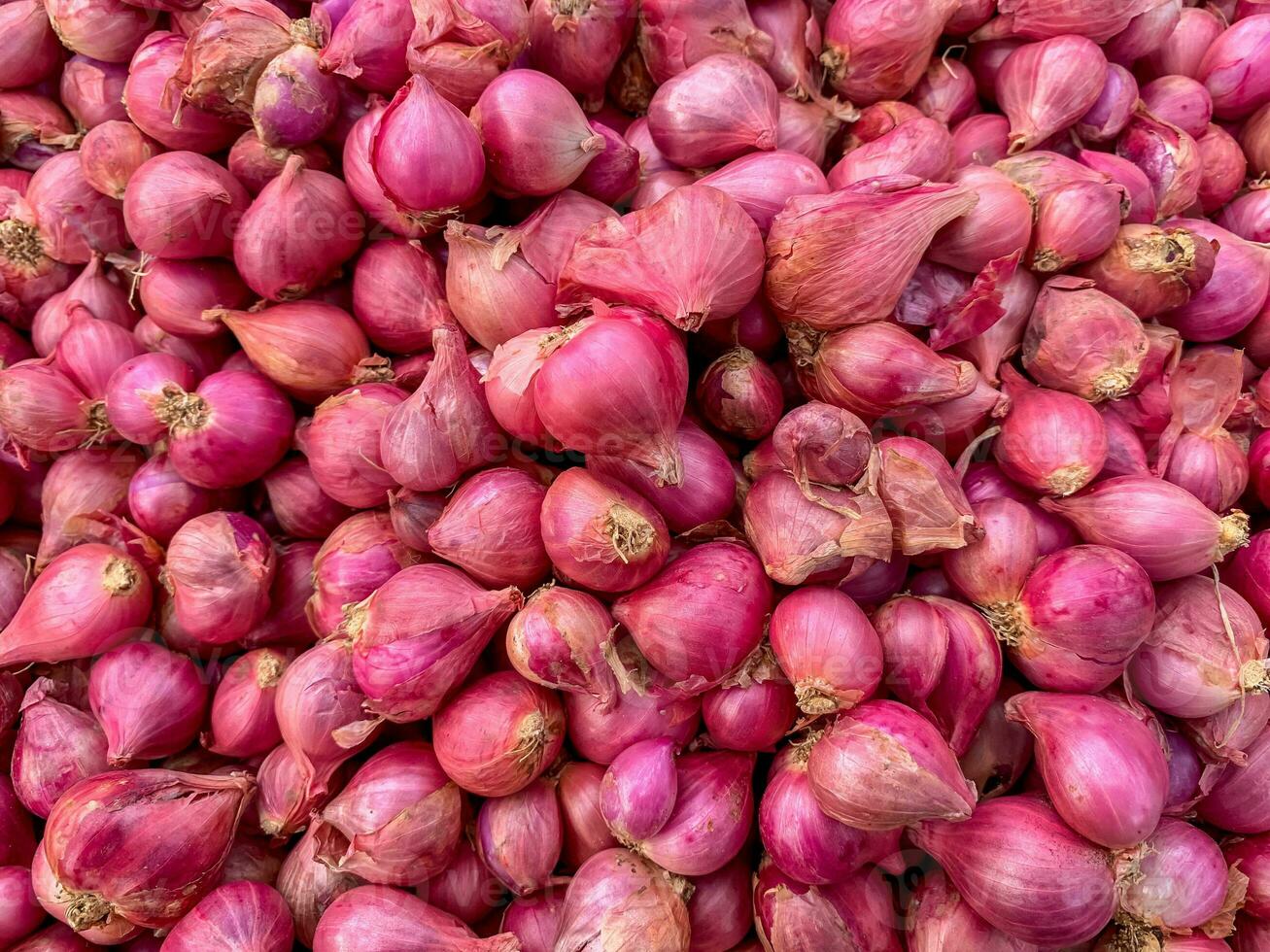 detailopname sjalotten, deze is een belangrijk voedsel ingrediënt in Indonesië. rood uien verkocht in de markt foto