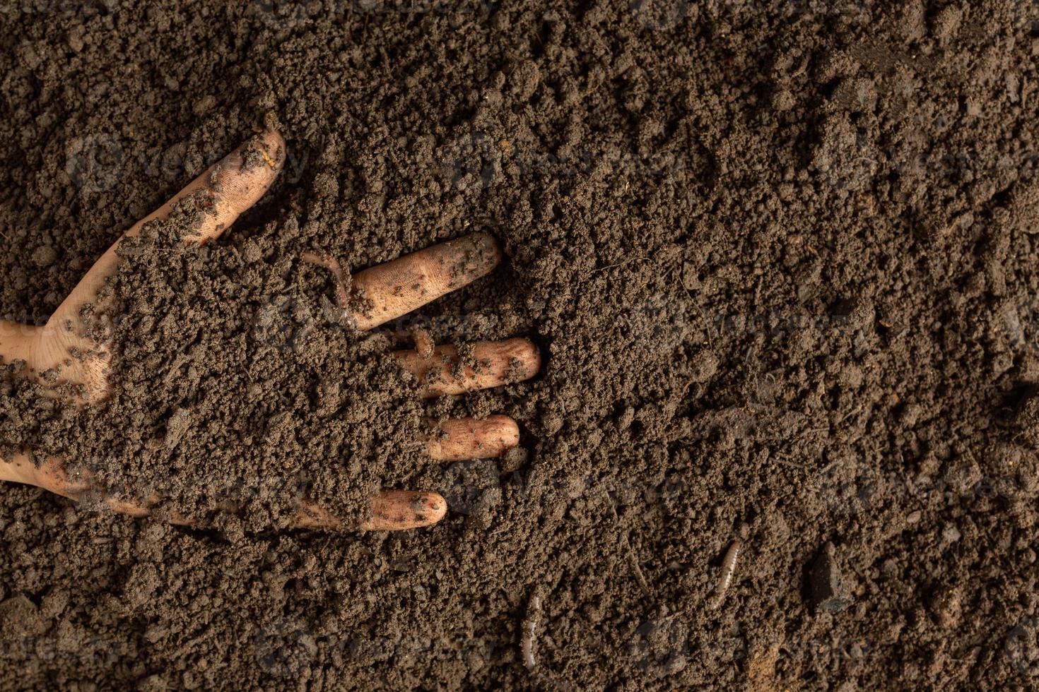 hand met zwarte aarde voor het verbouwen van gewassen wereldbodemdag concept foto