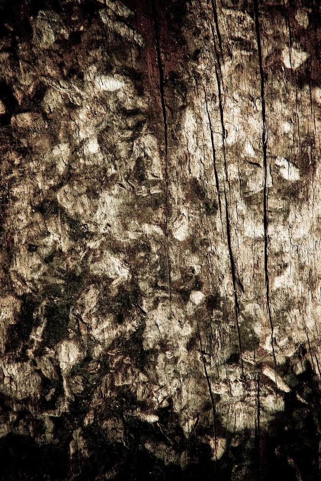 natuurlijke boom houten schors stam foto