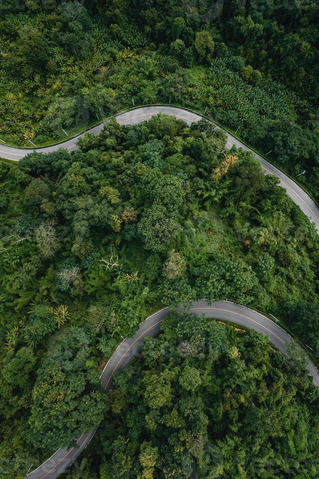 bergweg en groene bomen van bovenaf foto