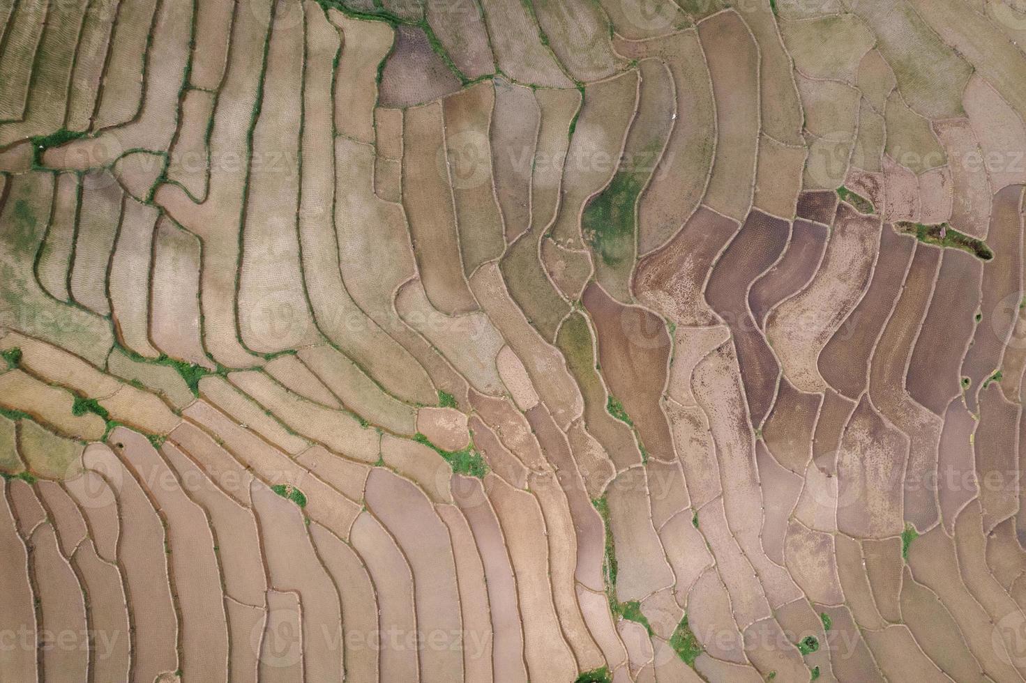 rijstvelden voor het planten van bovenaf foto