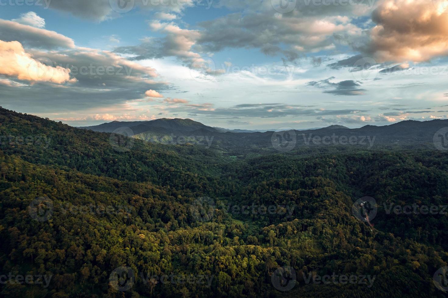 bergen en groen bos in de avond foto