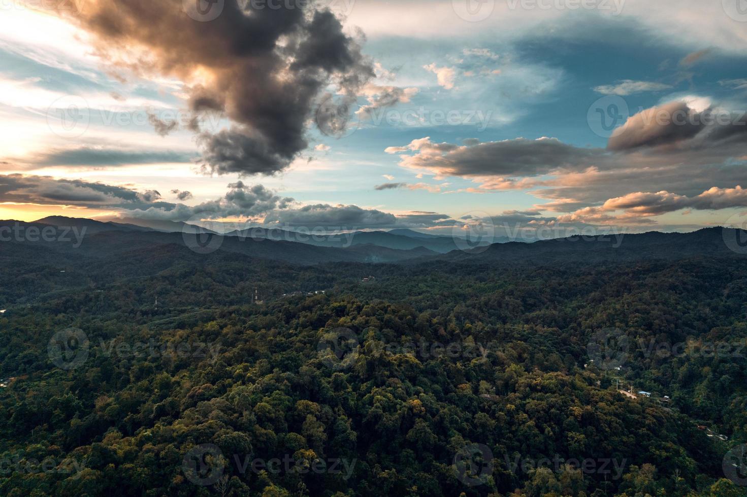 bergen en groen bos in de avond foto