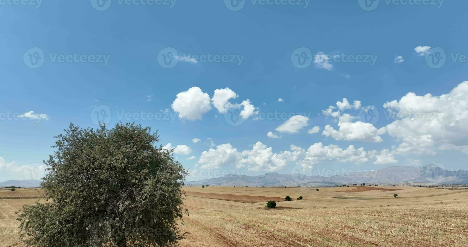 boerderij velden achtergrond structuur 4 k antenne visie 4k kalkoen Antalya foto