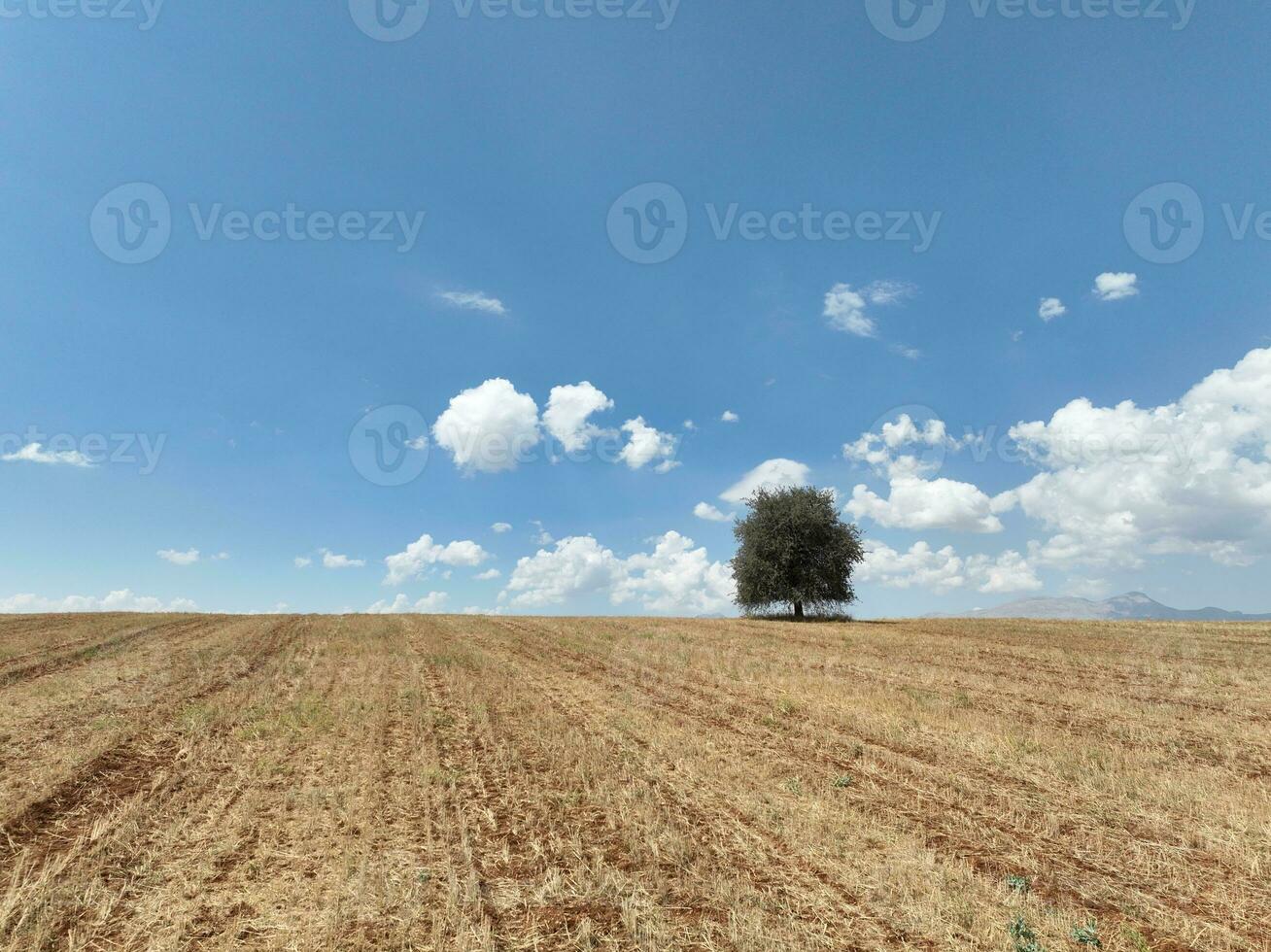boerderij velden achtergrond structuur 4 k antenne visie 4k kalkoen Antalya foto