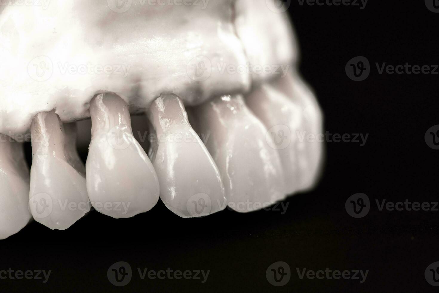 lager menselijk kaak met tanden anatomie model- geïsoleerd Aan zwart achtergrond. gezond tanden, tandheelkundig zorg en orthodontisch medisch concept. foto