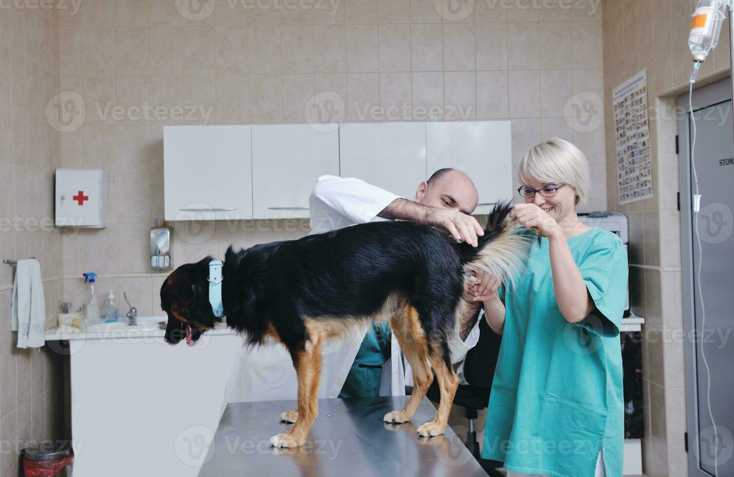 dierenarts en assistent in een dierenkliniek foto
