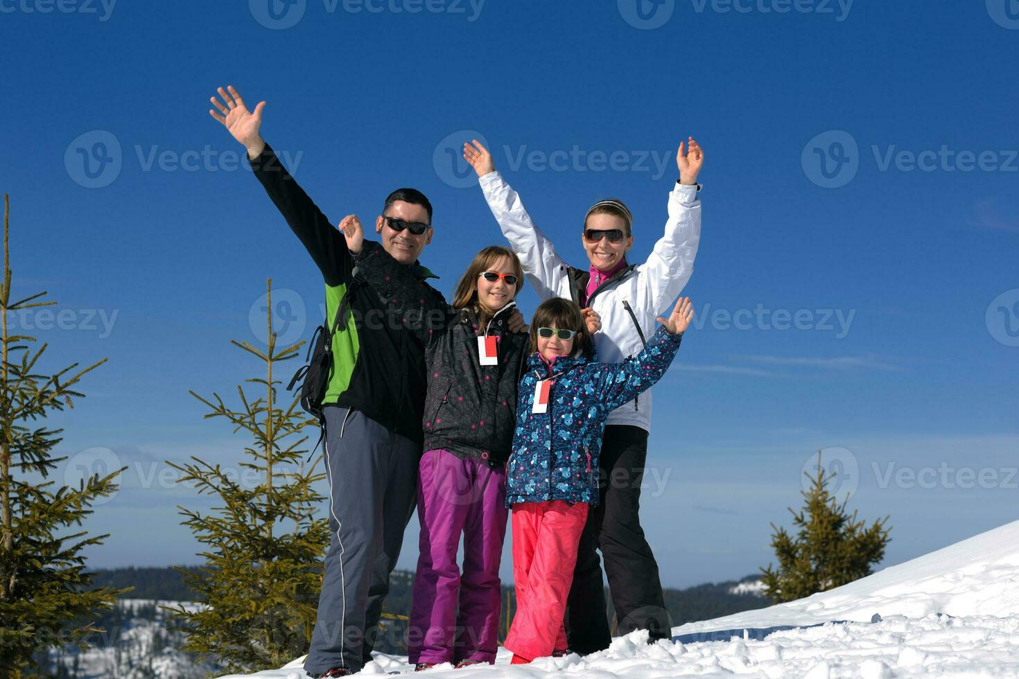 portret van gelukkig jong familie Bij winter foto