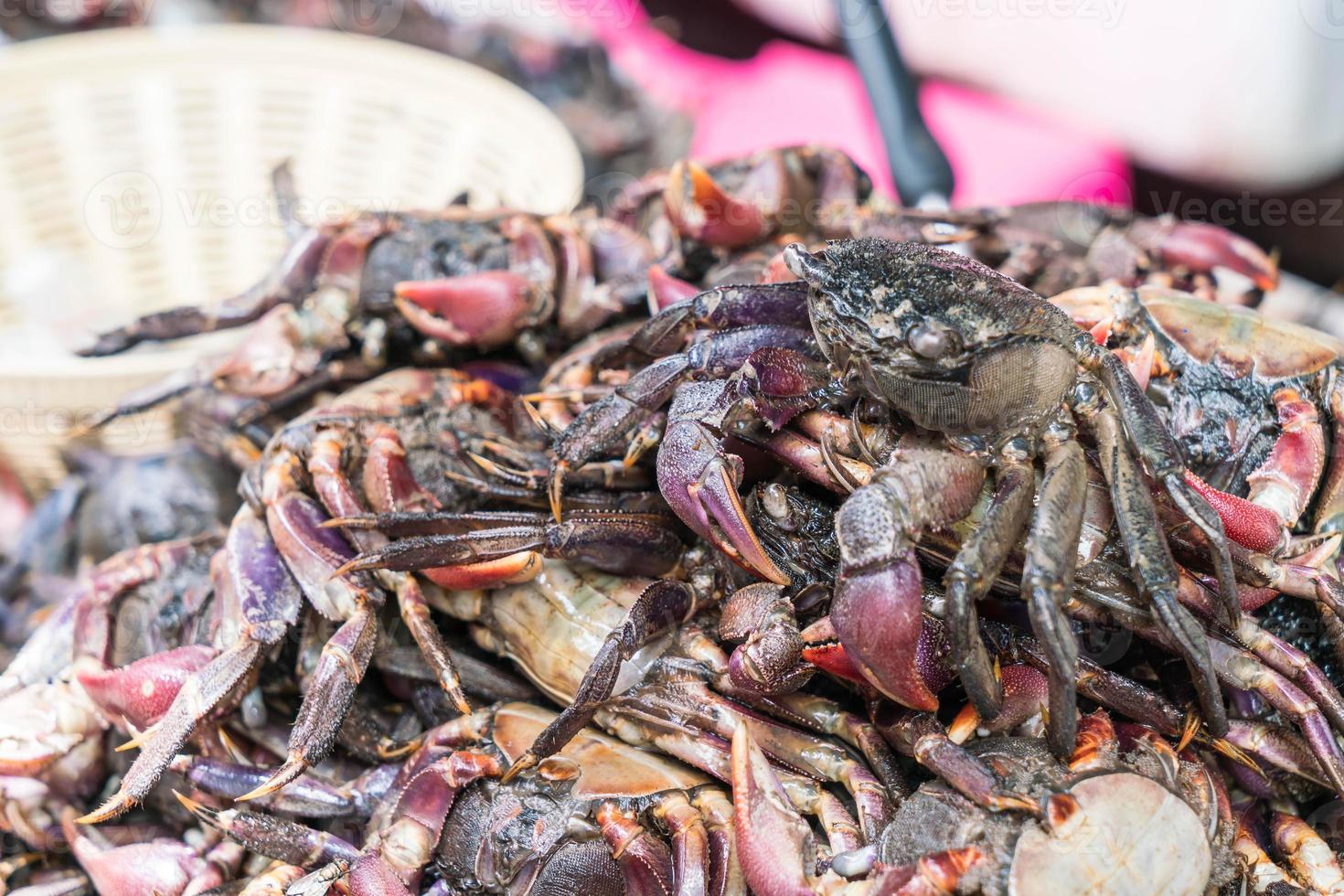 verse zwarte krab op de markt foto