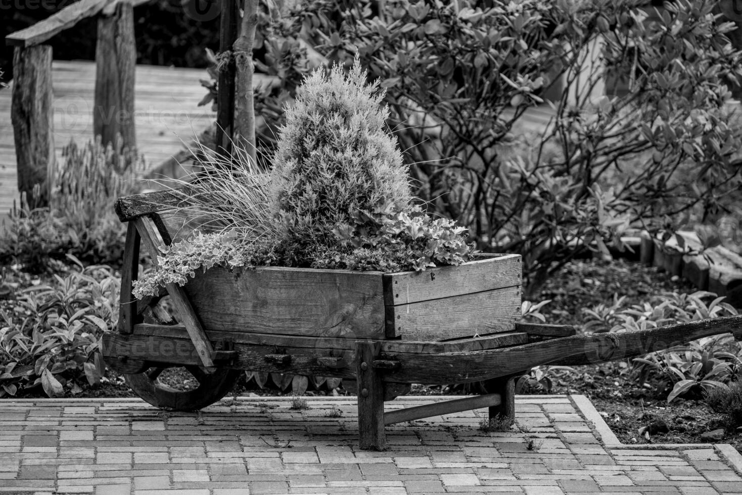 zomer tijd in Westfalen foto