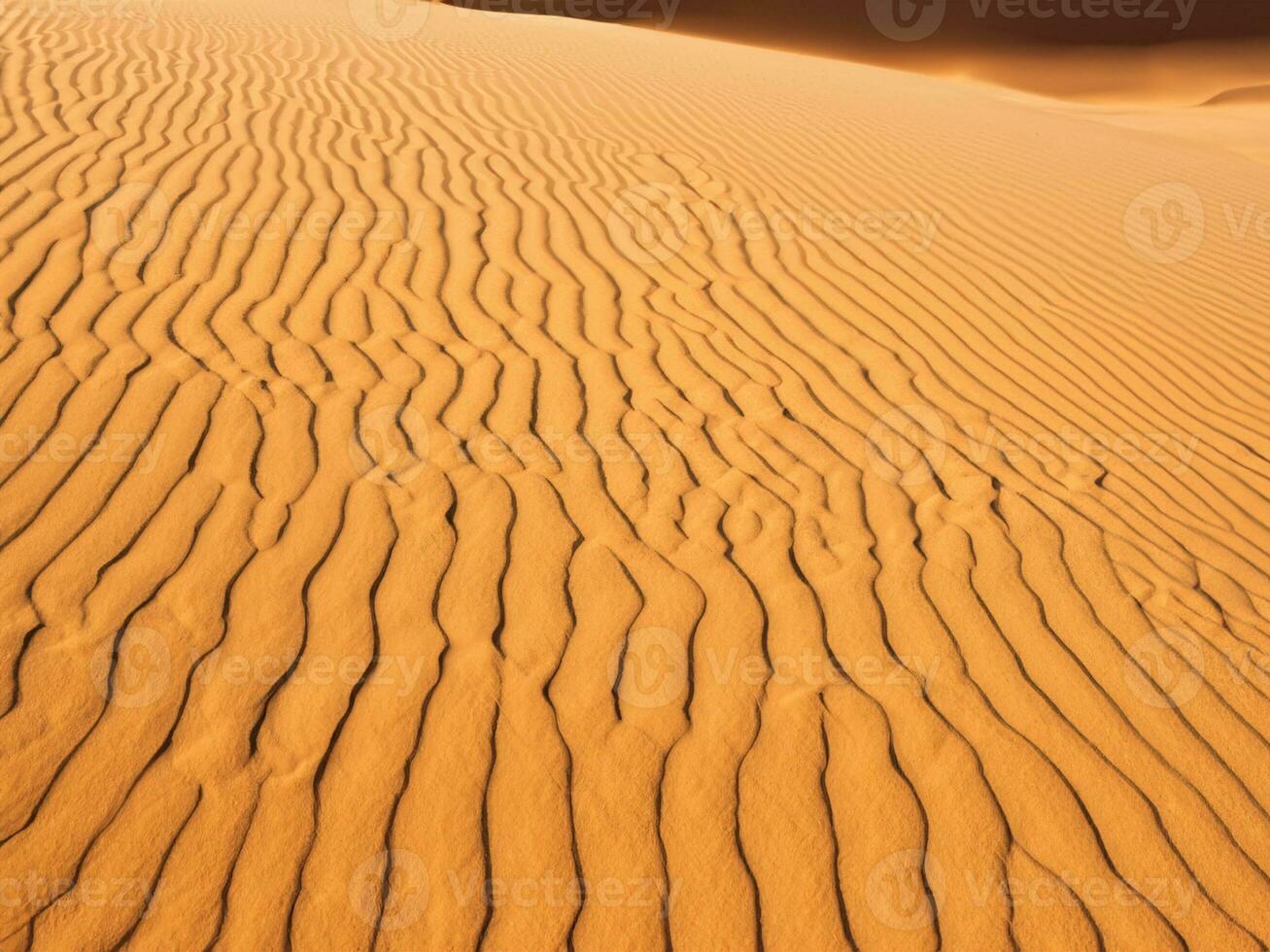 zand duinen van de woestijn foto