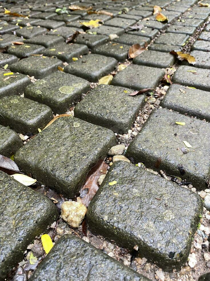 dichtbij omhoog graniet stenen Aan weg plaveien. steen bestrating dichtbij omhoog vervagen beeld Nee mensen. tropisch regenwoud bestrating in de park. foto