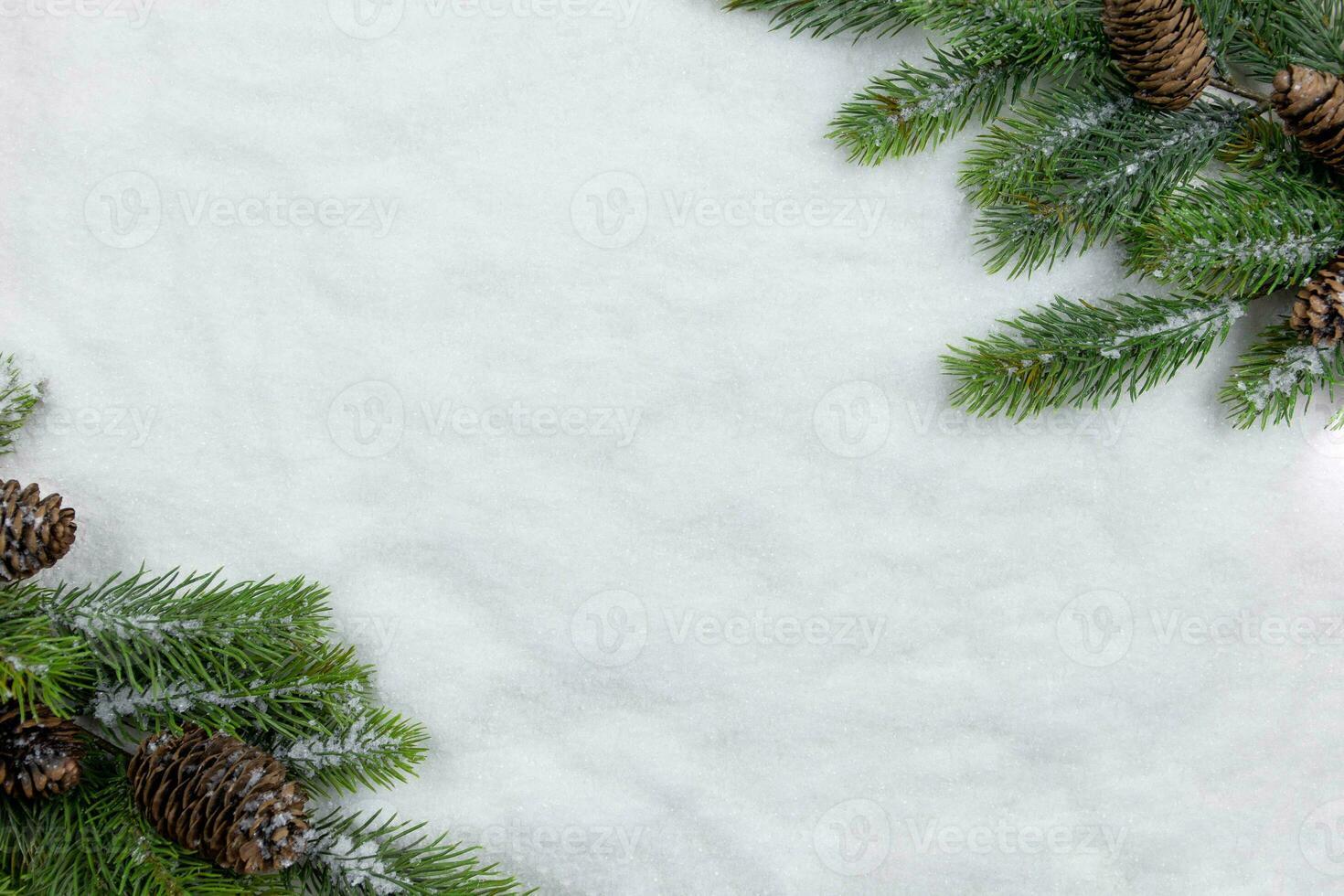 Kerstmis Spar boom takken vlak leggen met pijnboom kegels Aan sneeuw achtergrond. creatief samenstelling met grens. top visie. kopiëren ruimte. foto