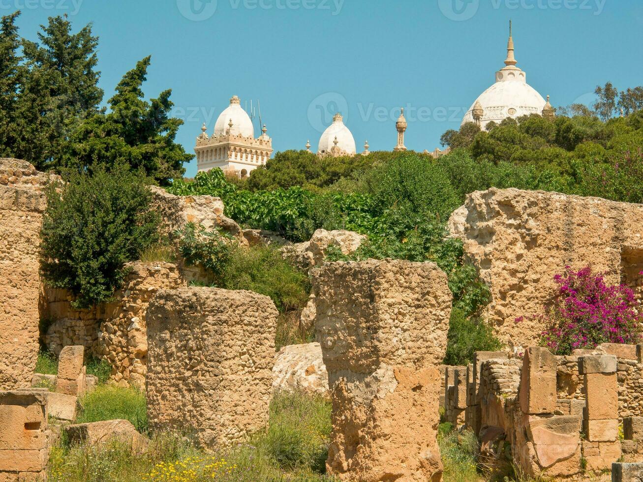 Tunis stad in Tunesië foto