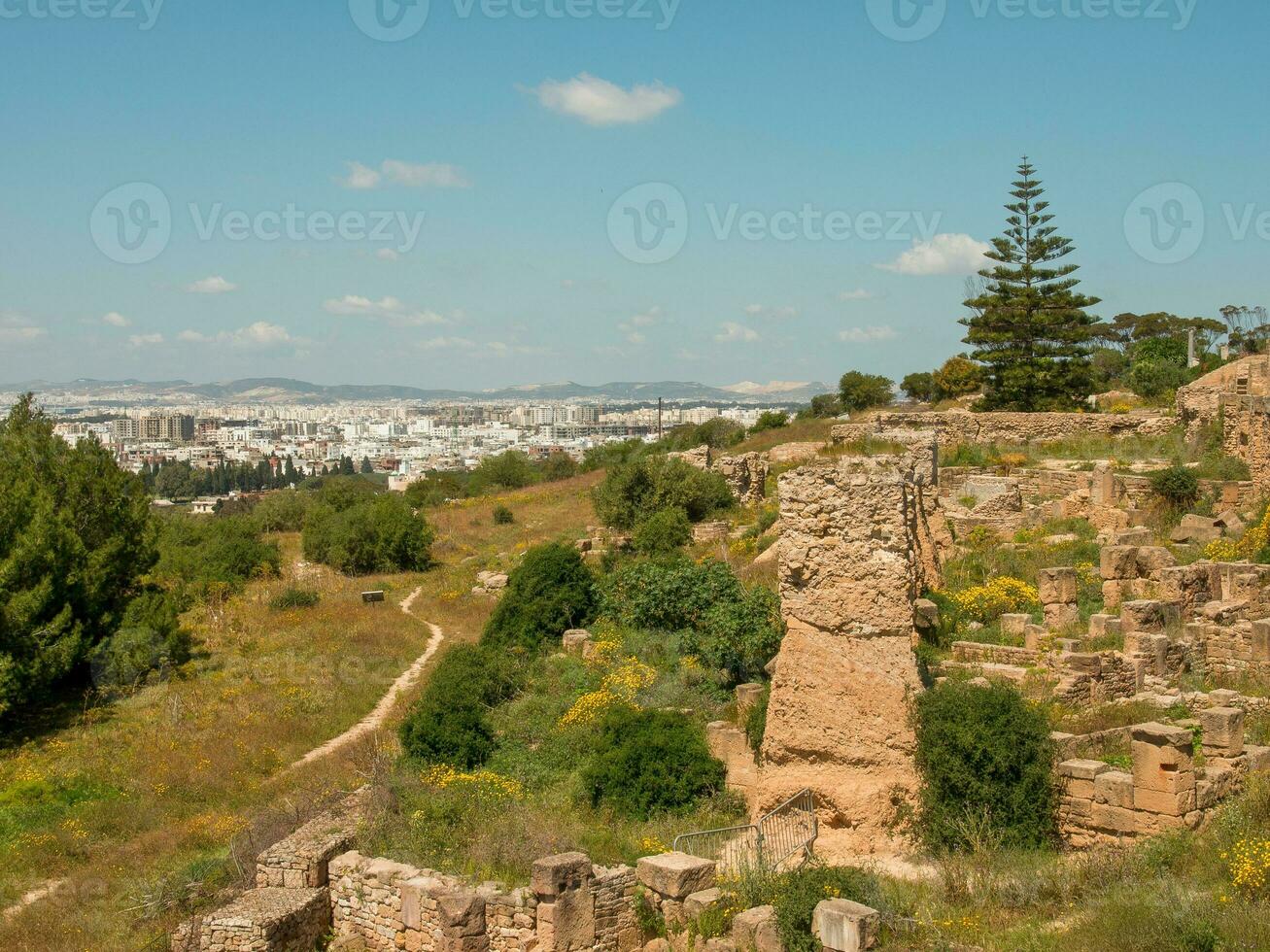 Tunis stad in Tunesië foto