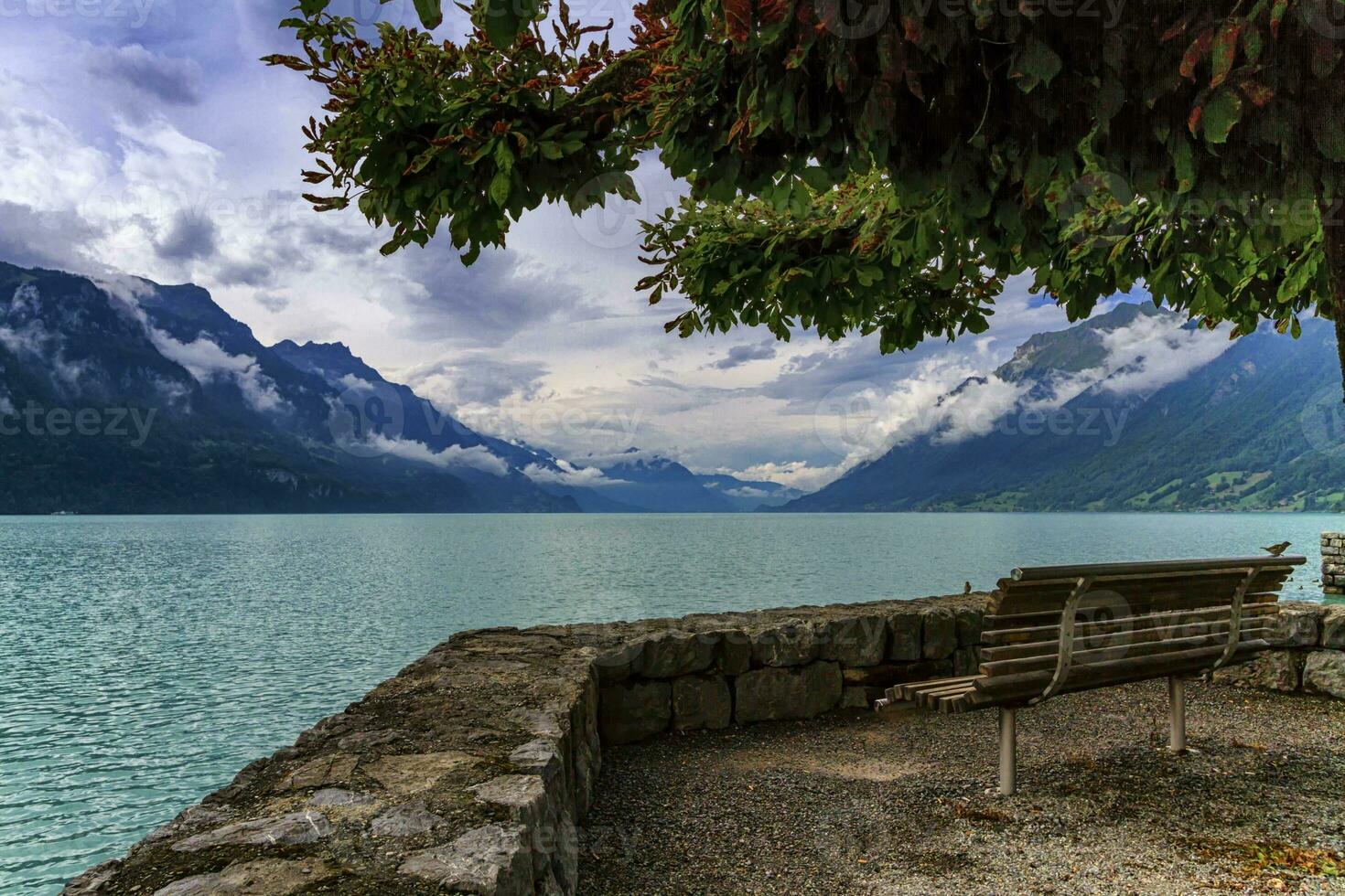 bank Bij Brienz meer, Zwitserland foto