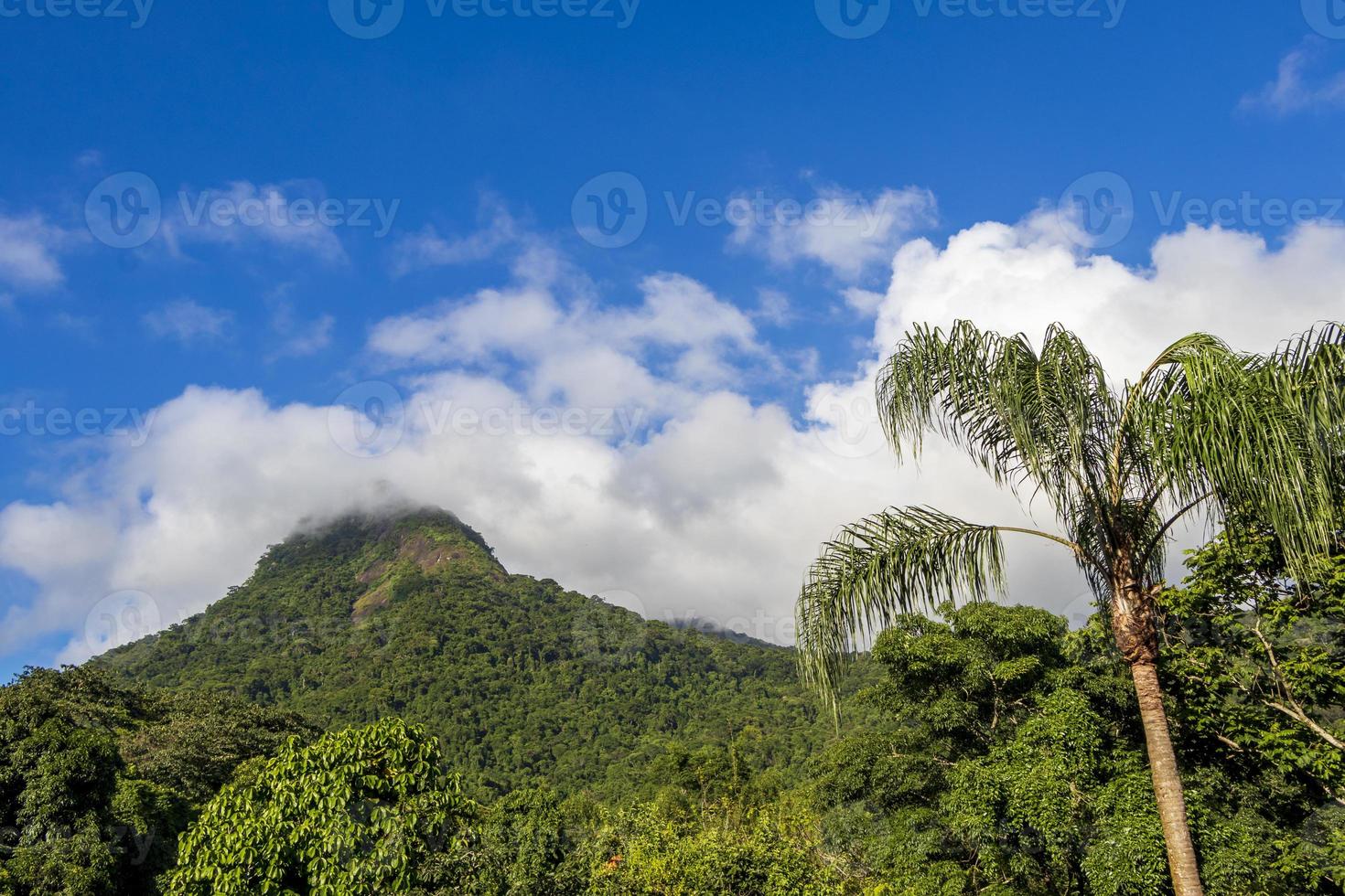 abraao berg pico do papagaio met wolken. ilha grande brazilië. foto