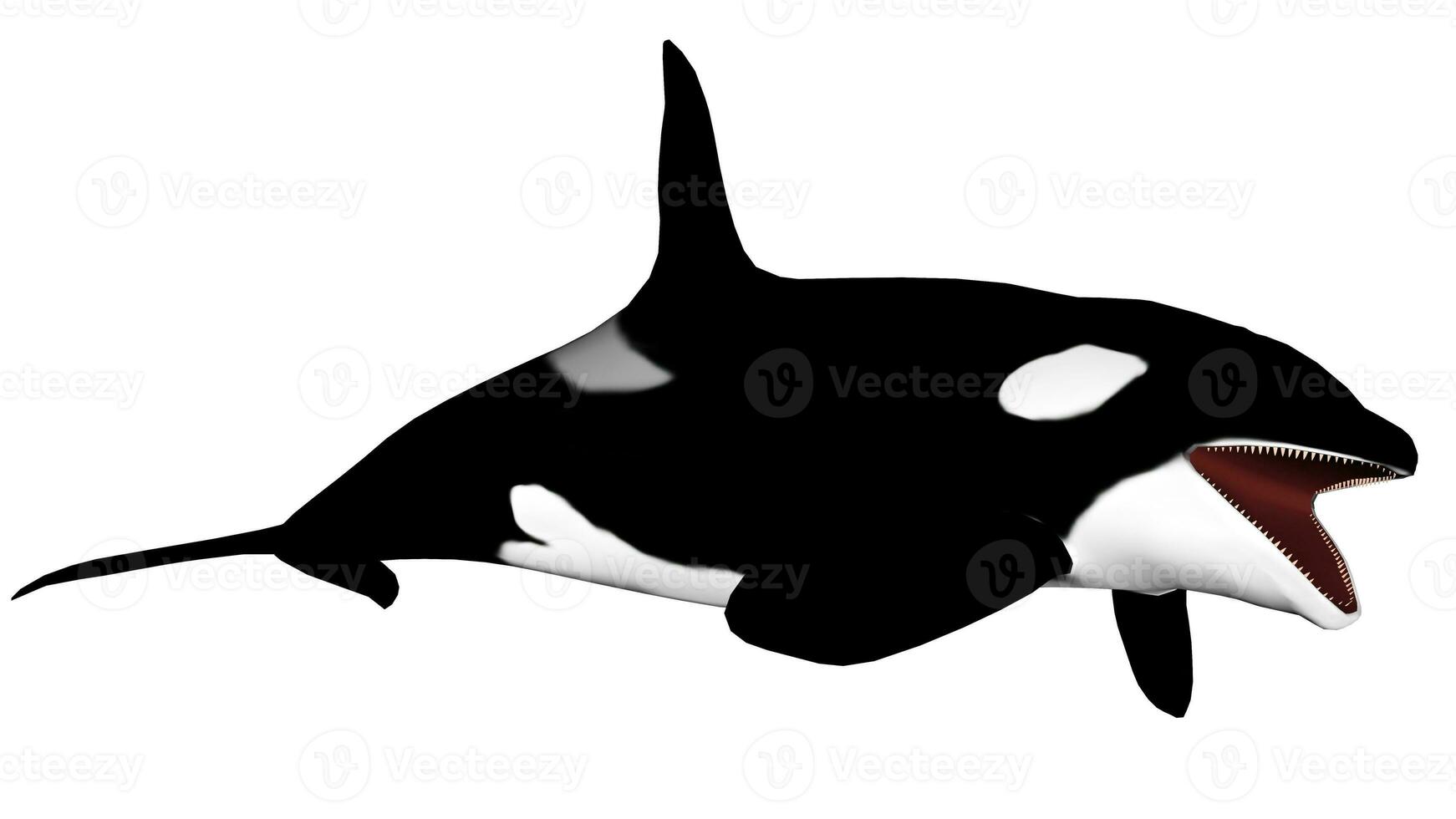 moordenaar walvis opening mond - 3d geven foto