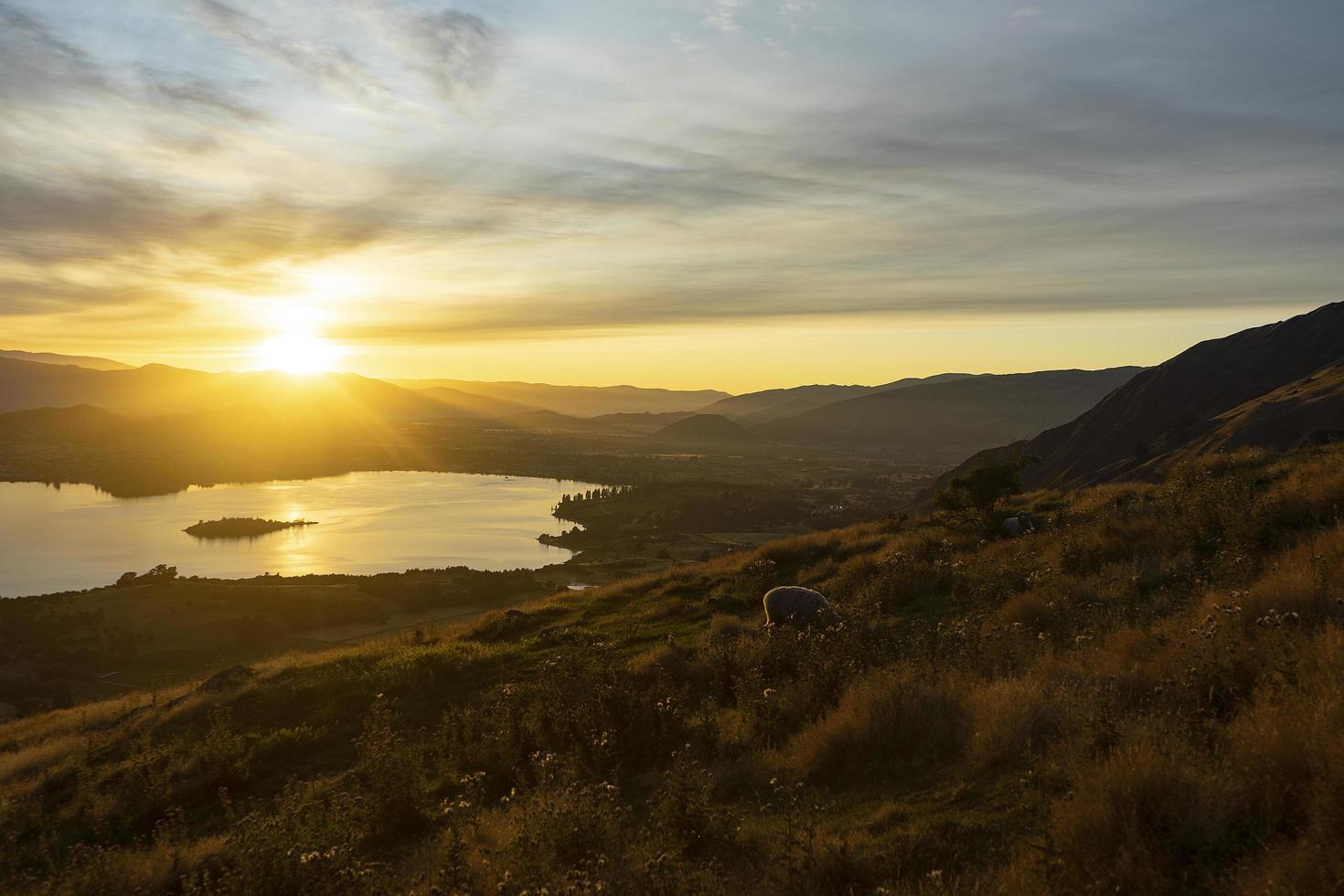 groen grasveld in de buurt van water tijdens zonsondergang foto