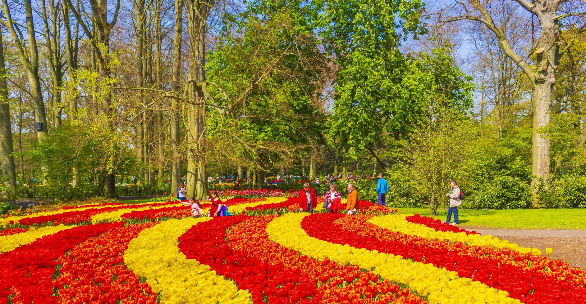 lisse, nederland, 20 april 2014 - kleurrijke tulpen en narcissen in het tulpenpark van de keukenhof foto