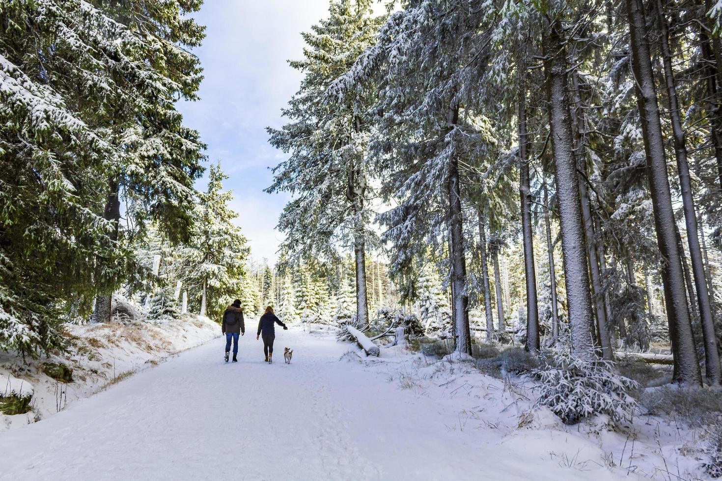 wandelaars in het winterlandschap in het brockengebergte, harz, duitsland foto