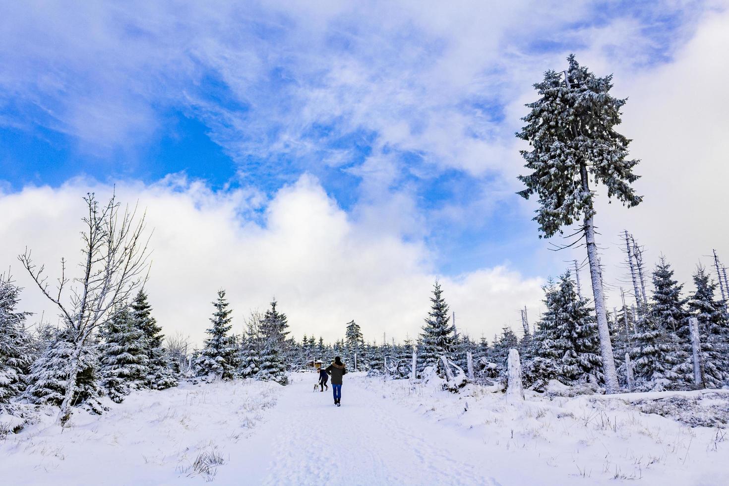 wandelaars in het winterlandschap in het brockengebergte, harz, duitsland foto