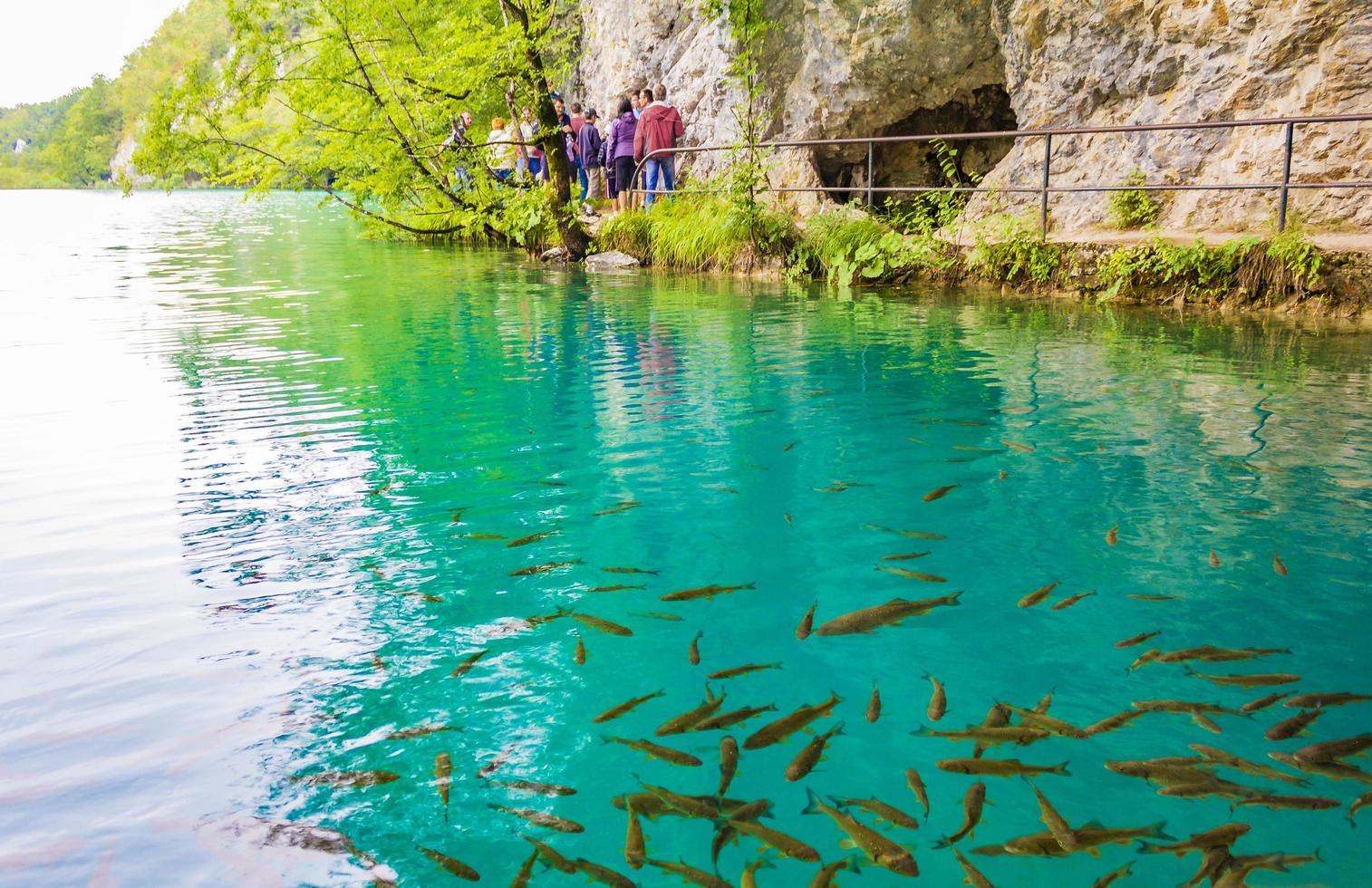 toeristen in het nationale park van de plitvicemeren in kroatië foto