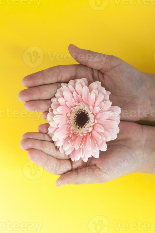 vrouw Holding madeliefje bloem hoofd foto