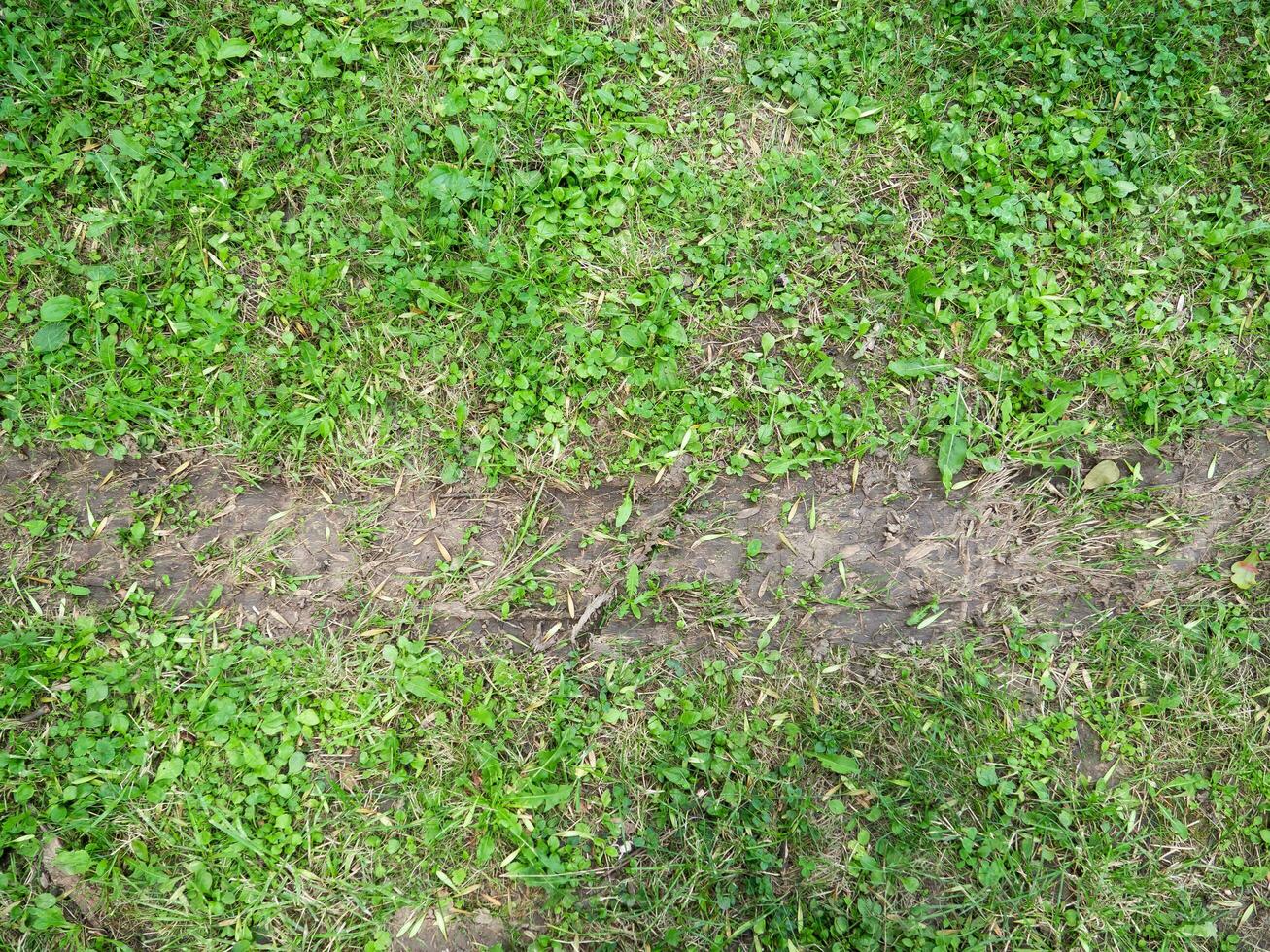 band bijhouden in de vers gras veld- foto