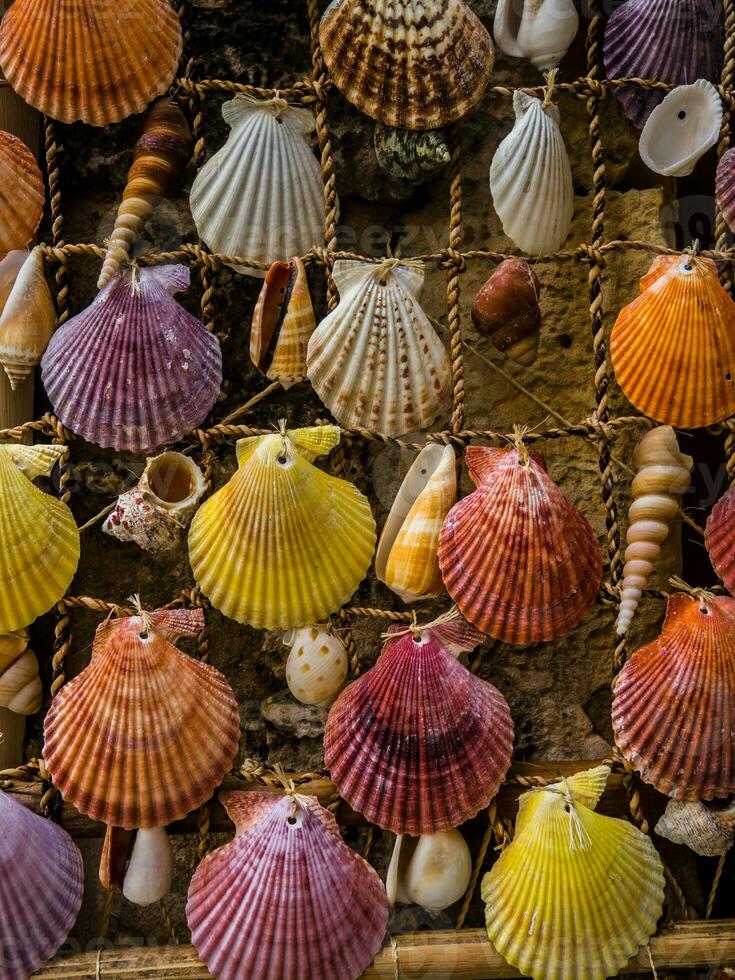 bundel van kleurrijk zee schelpen - huis gemaakt decoratie foto