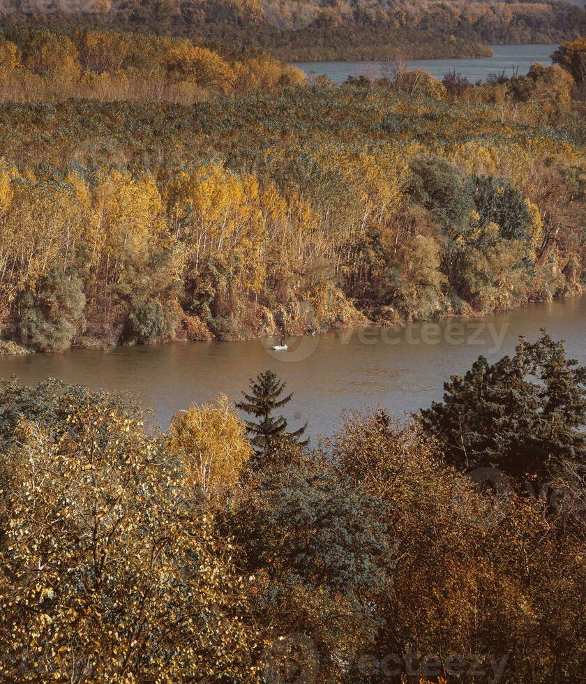 rivier en bos in de herfst foto