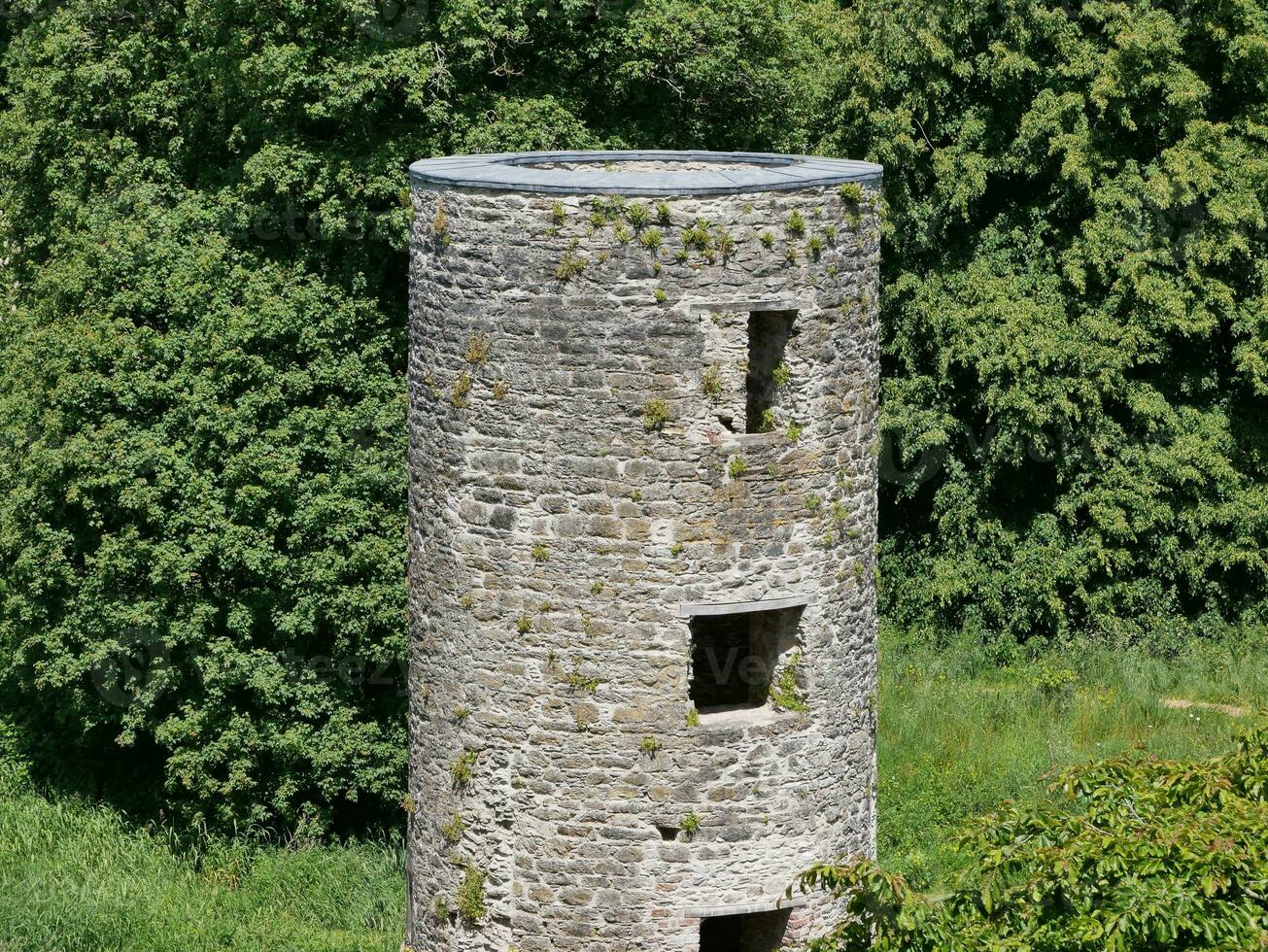 oud keltisch kasteel toren tussen de bomen, flauw kasteel in Ierland, oud oude keltisch vesting foto