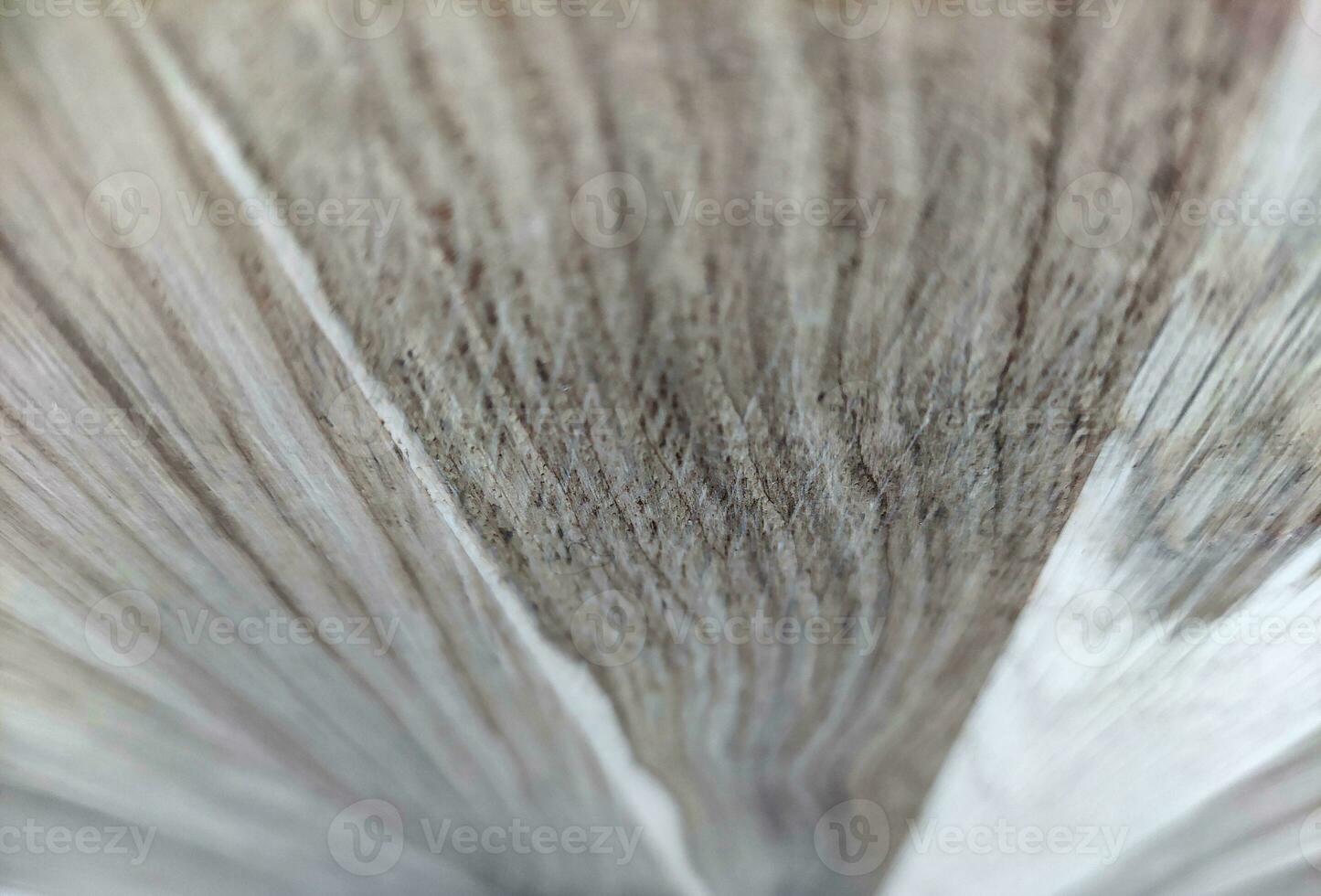 natuurlijk hout achtergrond met wazig elementen foto