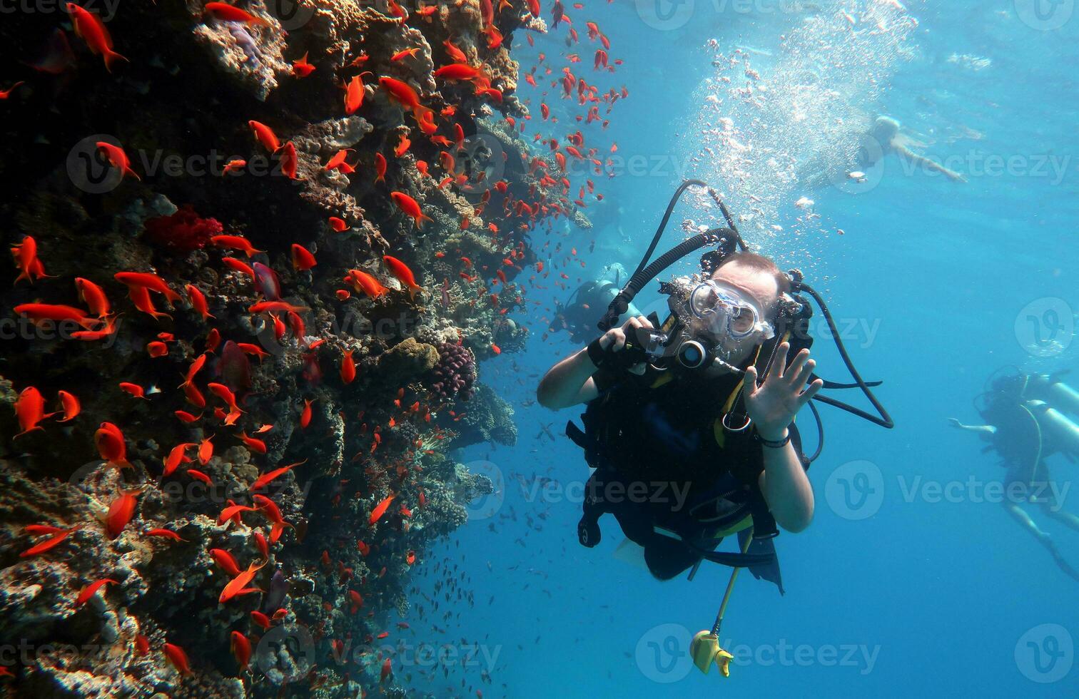 duiken in de rood zee in Egypte, tropisch rif foto