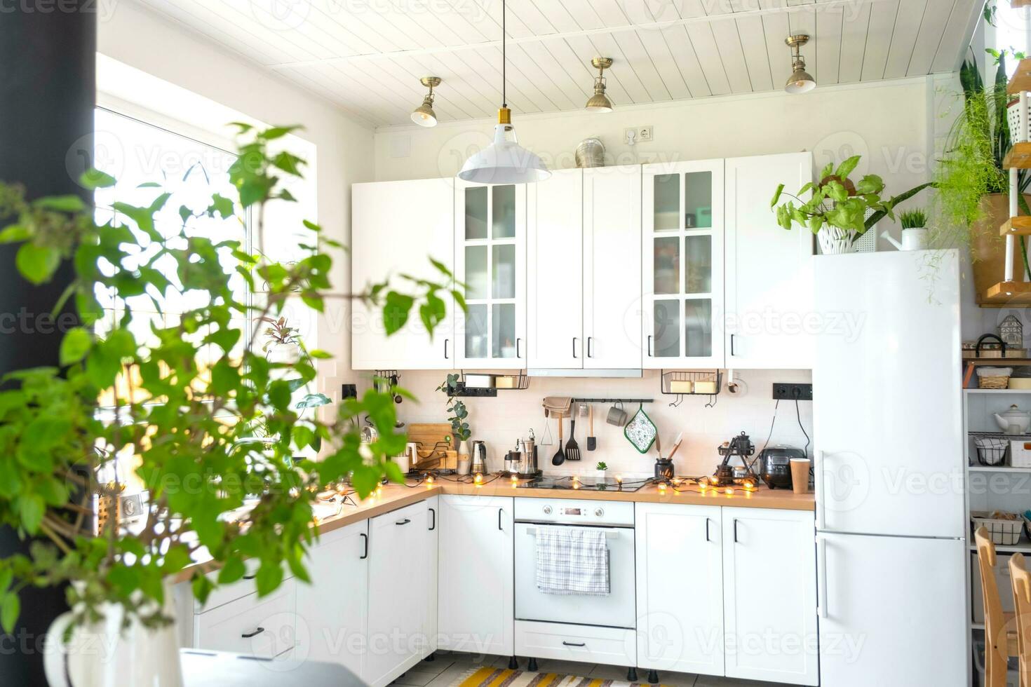 licht wit modern rustiek keuken versierd met ingemaakt planten, loft-stijl keuken gebruiksvoorwerpen. interieur van een huis met thuisplanten foto