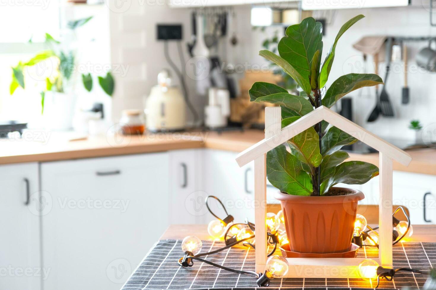 ficus lirata in een pot in de interieur van de huis in de keuken, verlichte door slinger lampen en miniatuur van huis project met sleutels. ingemaakt fabriek in groen huis, echt landgoed verhuur, verzekering foto