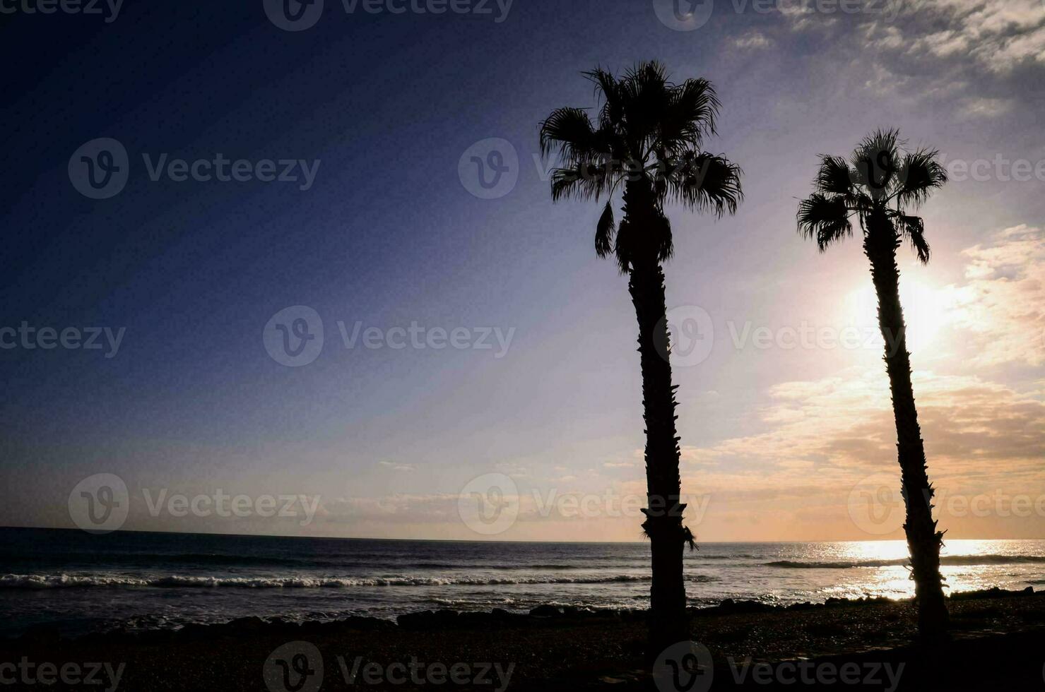 palm bomen Aan de strand Bij zonsondergang foto