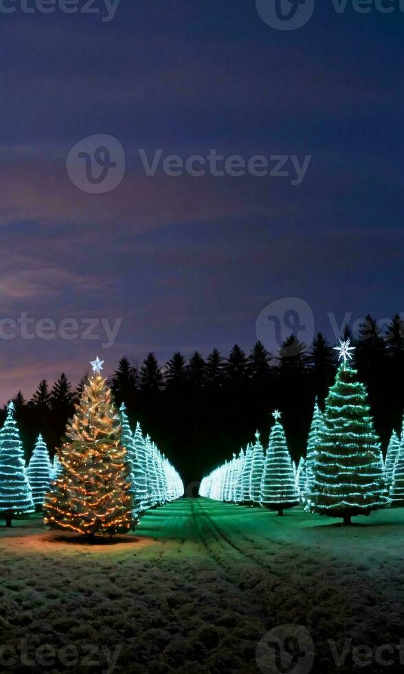 een Kerstmis boom boerderij Bij schemer met rijen van verlichte bomen. ai gegenereerd foto