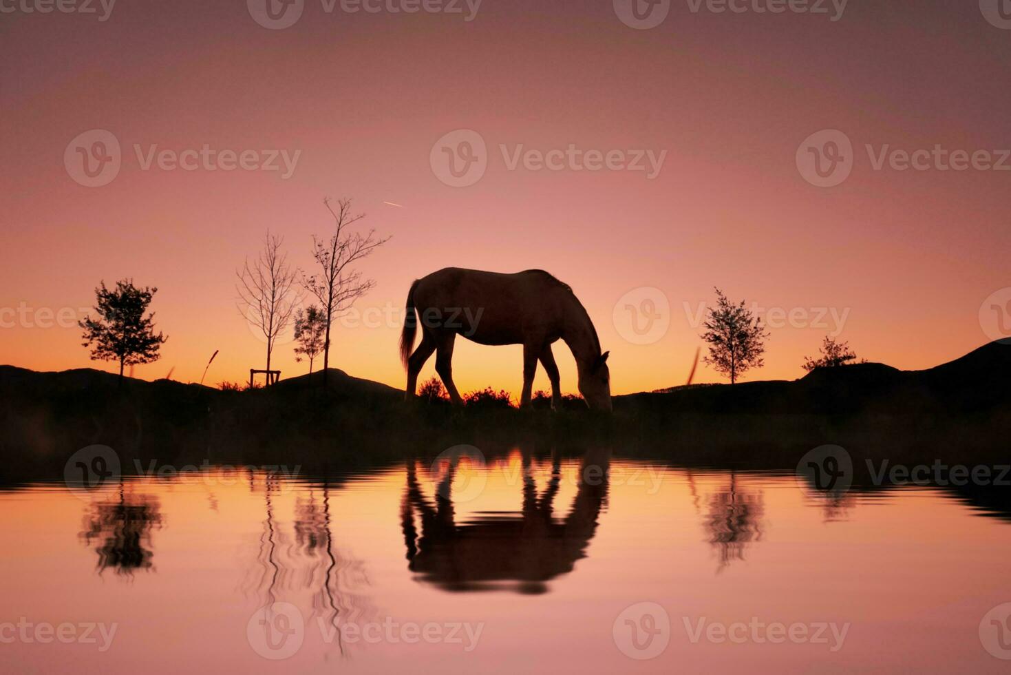 paard silhouet in de platteland en mooi zonsondergang achtergrond foto