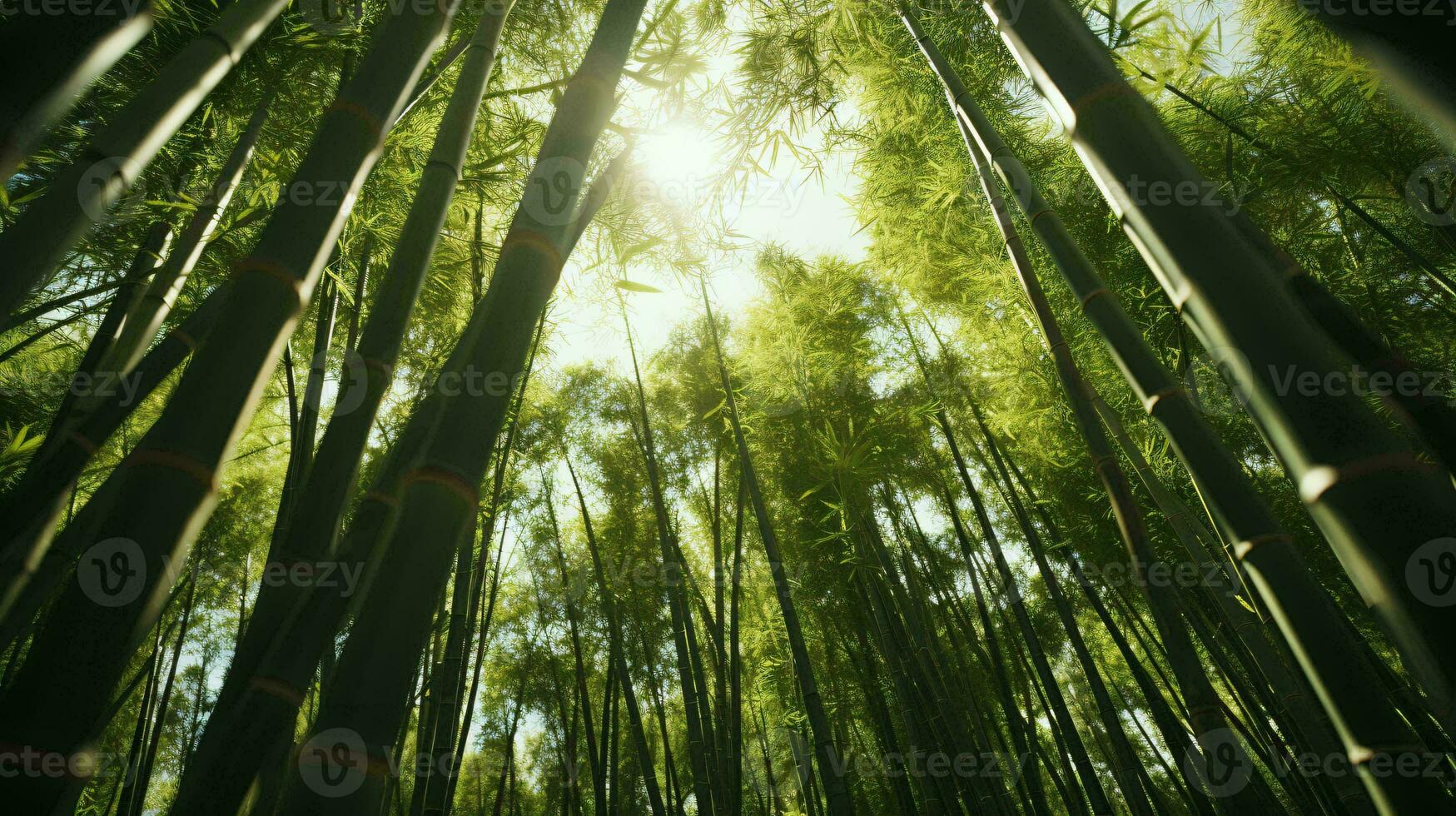 zonlicht filteren door een dicht bamboe Woud ai gegenereerd foto