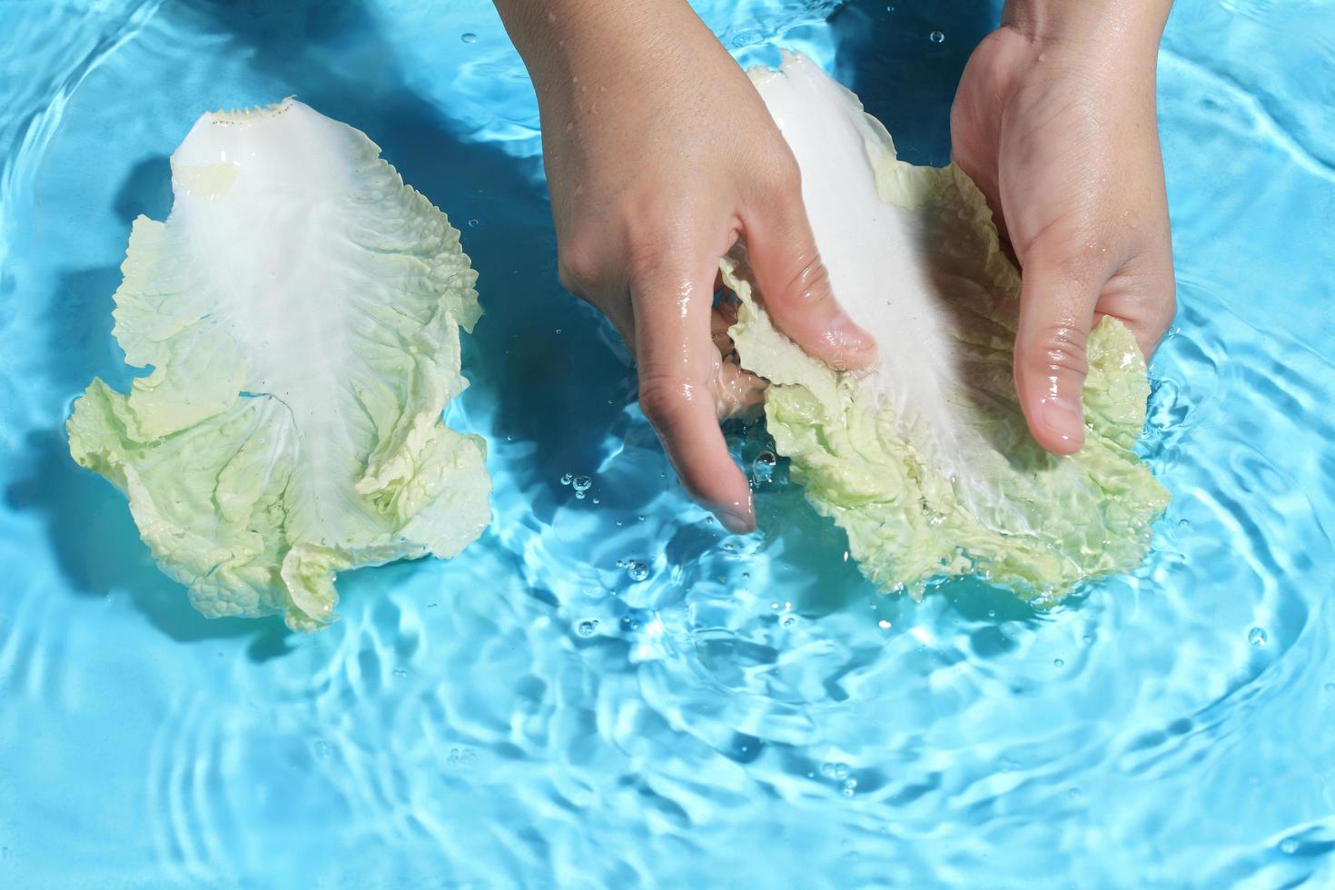 vrouw hand wassen chinese kool in water. foto