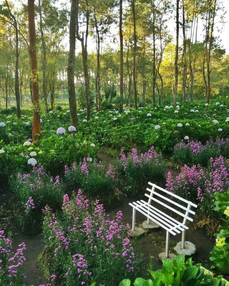 rustig tafereel bloeiende bank in van de natuur groen rustig tafereel temidden van bloeiend bloemen, groen, en majestueus bomen. foto